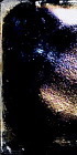4 x 4 tile / Color - Midnight Black Pearl