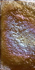 4 x 4 tile / Color - Tiger Eye Pearl