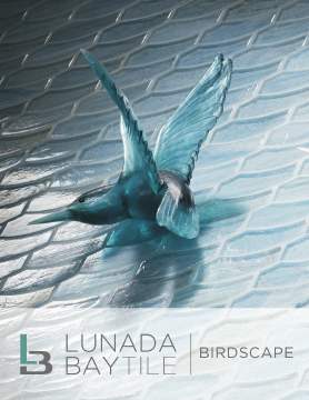 Contourz Brochure